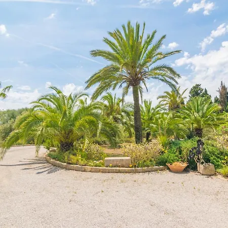 Finca Palmera Villa *