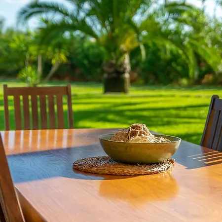 Villa Finca Palmera Ses Salines (Mallorca)
