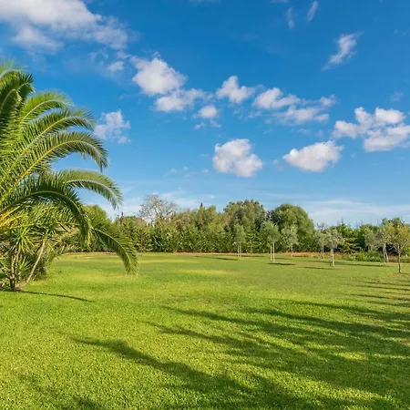 Finca Palmera Villa