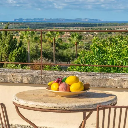Villa Finca Palmera Ses Salines (Mallorca)
